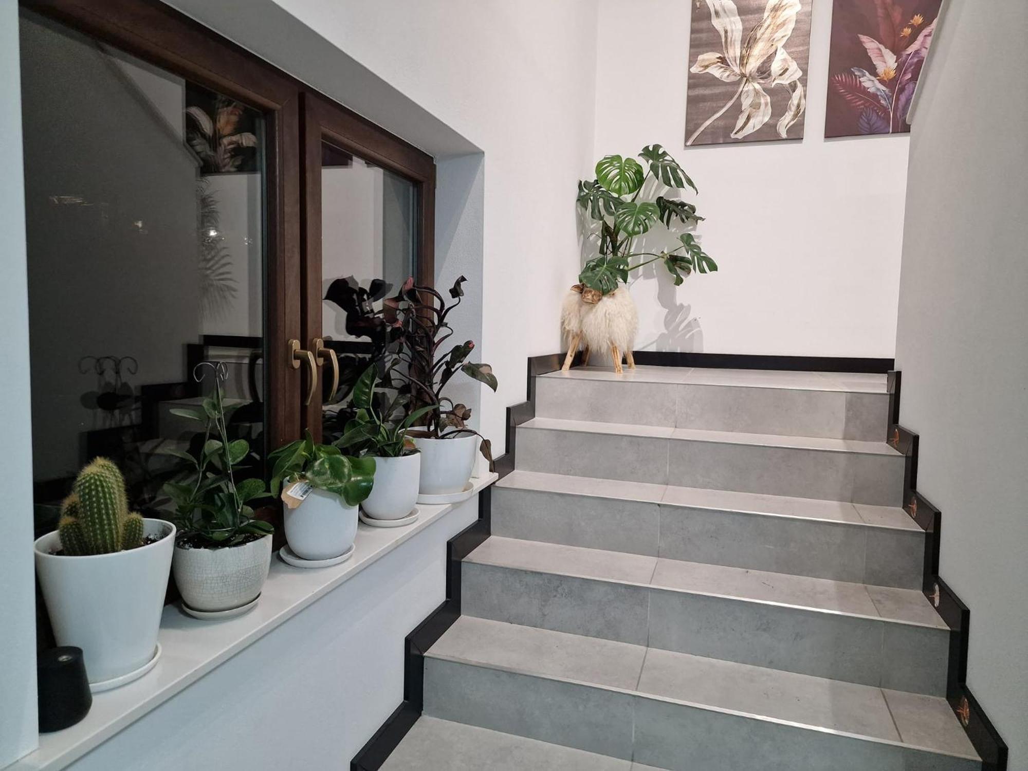 Male Ciche 36J Przy Ostrewkach, Widok Na Gory, Blisko Do Wyciagu Narciarskiego, Idealne Miejsce Na Wypad W Gory -Tarasowka-Zgorzelisko-Rusinowa Polana-Gesia Szyja-Palenica-Wiktorowki-Morskie Oko Murzasichle Exterior photo